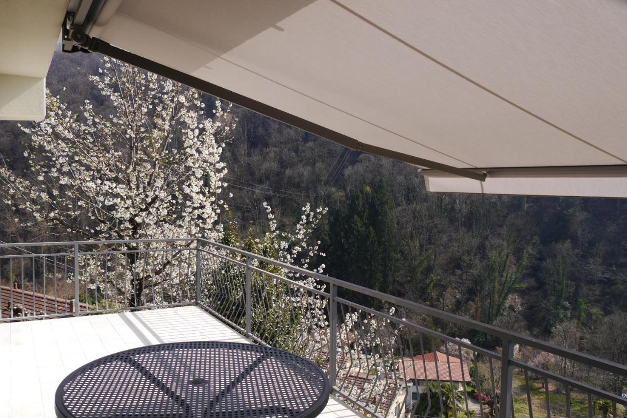 Casa Colmegna Mit Traumhaften See- Und Bergblick ルイーノ エクステリア 写真